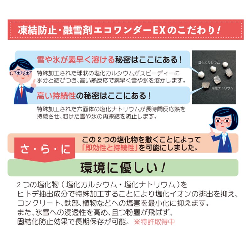【6/1〜最大100%Pバック抽選で要エントリー】10kg エコワンダーEX ECO-10 凍結防止...