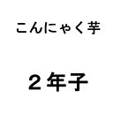 1kg コンニャク玉 2年子 こんにゃく芋 蒟蒻 種芋 栽培用 米S 日にち指定不可 代引不可 その1