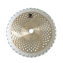 30枚 草刈り チップソー 青鬼 外径 255mm チップ数40P フジ鋼業 鬼の爪 草刈り機 替え刃 新E D