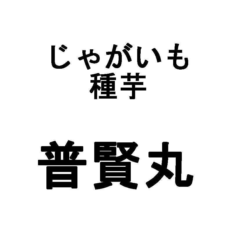 10kg 種芋 ジャガイモ 普賢丸 混玉 じゃがいも 栽培用 秋ジャガ 海外持出禁止 米S 代引不可 日にち指定不可