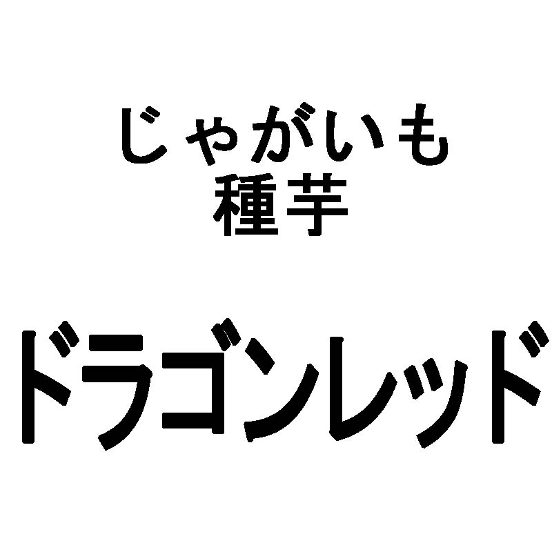 5kg 種芋 ジャガイモ ドラゴンレッド じゃがいも 栽培用 秋ジャガ 海外持出禁止 米S 代引不可 日にち指定不可