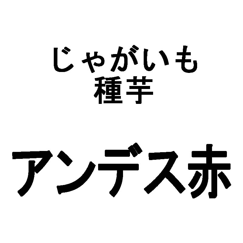 10kg 種芋 アンデス 赤 混玉 じゃがいも ジャガイモ 栽培用 米S 代引不可 日にち指定不可