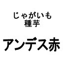 10kg 種芋 アンデス 赤 混玉 じゃがいも ジャガイモ 栽培用 米S 代引不可 日にち指定不可