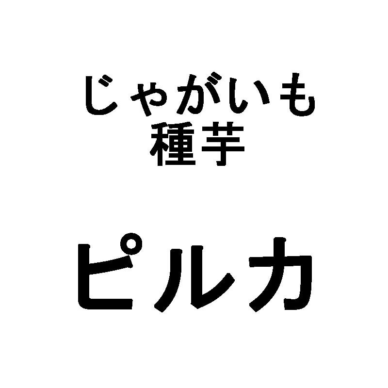 10kg 種芋 ピルカ 混玉 じゃがいも ジャガイモ 栽培用 米S 代引不可 海外持出禁止 登録品種名:ピルカ 農林水産省品種登録:第20750号 