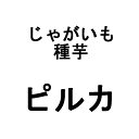 10kg 種芋 ピルカ 混玉 じゃがいも ジャガイモ 栽培用 米S 代引不可 (海外持出禁止 登録品種名:ピルカ 農林水産省品種登録:第20750号)