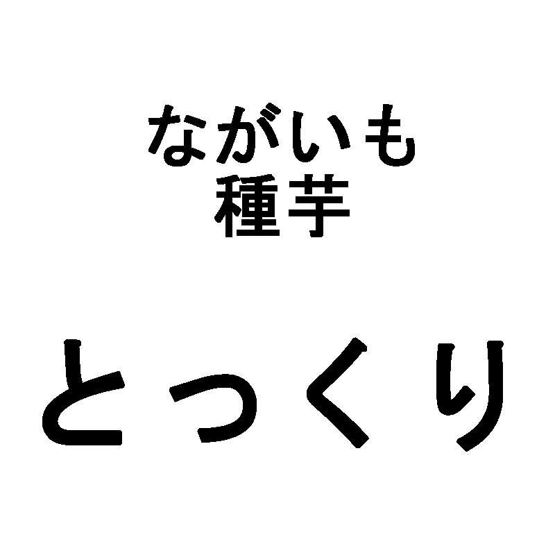 10kg 種芋 長芋 とっくり Lサイズ 約130本 栽培用 種ながいも 米S 日にち指定不可 代引不可