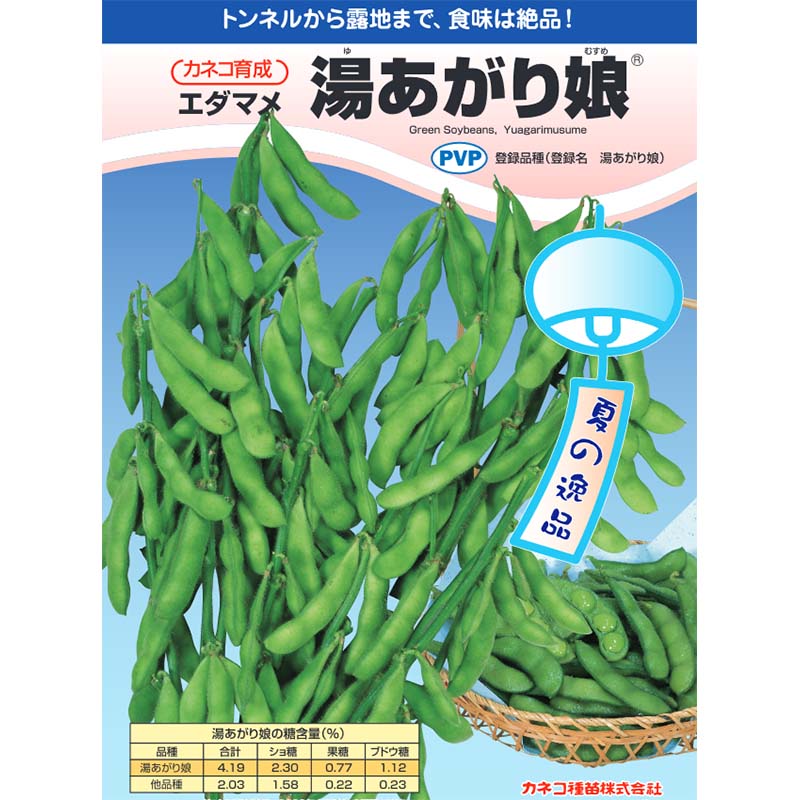 1000粒 エダマメ 湯あがり娘 カネコ種苗 枝豆 中早生 白毛 栽培用 ゆあがりむすめ 米S 代引不可 (登録品種名:湯あがり娘)