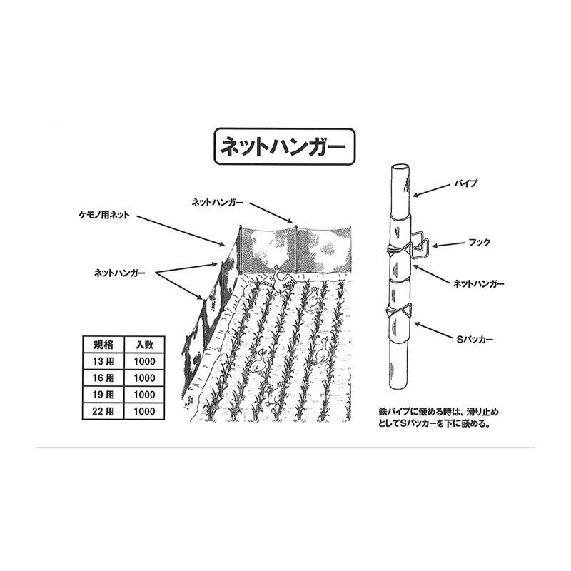 1000 lbgnK[ nEX [v hlbg 13p JlR s