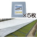 5枚 ハイホワイトシルバー 2.3×10m たたみ品 育苗用シート 水稲用 苗焼け防止 高反射 保温 地温抑制 夜間 保水性 岩谷マテリアル タS 個人宅配送不...