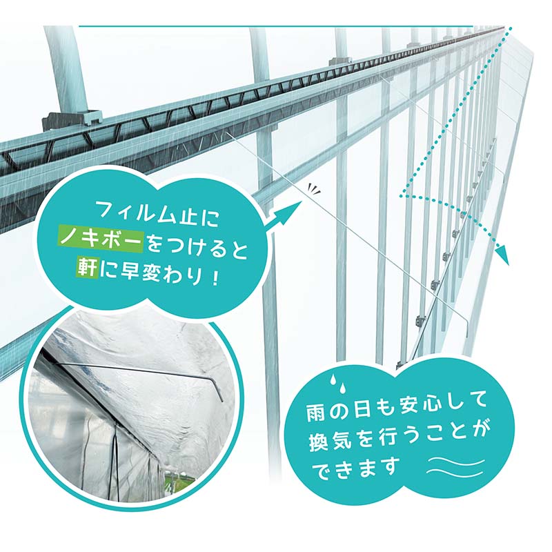 ��100%�ݥ���ȥХå� ����ȥ꡼������2/25�ޤǡۥΥ��ܡ� ���� ���ο����ɻ� �������δ����к��� �ӥˡ���ϥ��� ��ƣ���� SATOH ��S DZ