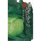 種子 1.5ml キャベツ やひこ 北越交配 栽培用 野菜タネ 野菜種子 野菜のタネ 甘藍 北越農事 D