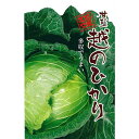 種子 1.2ml キャベツ 越のひかり 北越交配 栽培用 野菜タネ 野菜種子 野菜のタネ 甘藍 北越農事 D