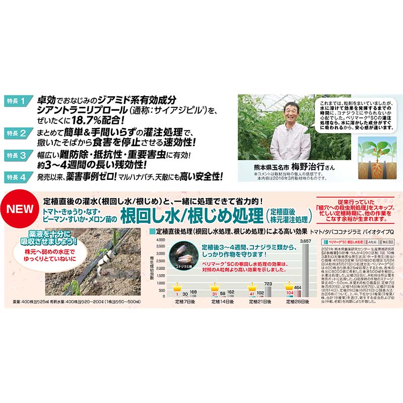 ��100%�ݥ���ȥХå� ����ȥ꡼������2/25�ޤǡۥ٥�ޡ���SC 100ml ��������ѻ���� ������ã ��YD