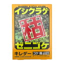 キレダー 50g×2 アグロカネショウ ゼニゴケ イシクラゲ 除草剤 Vデ 代引不可 産直