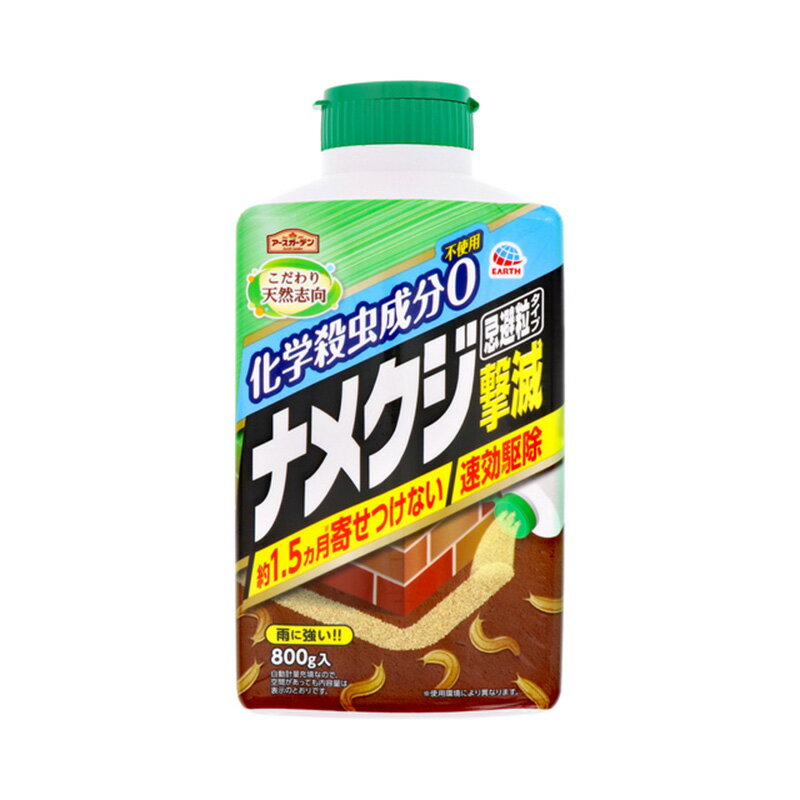 ʥ᥯ γ 800g ʥ᥯༣ ǥ  V Բ ľ