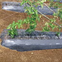 5本 メデルシート M370B 135cm×100m 黒 通気型条・点・散播可能マルチ材 農業 マルチ みかど化工 カ施 代引不可