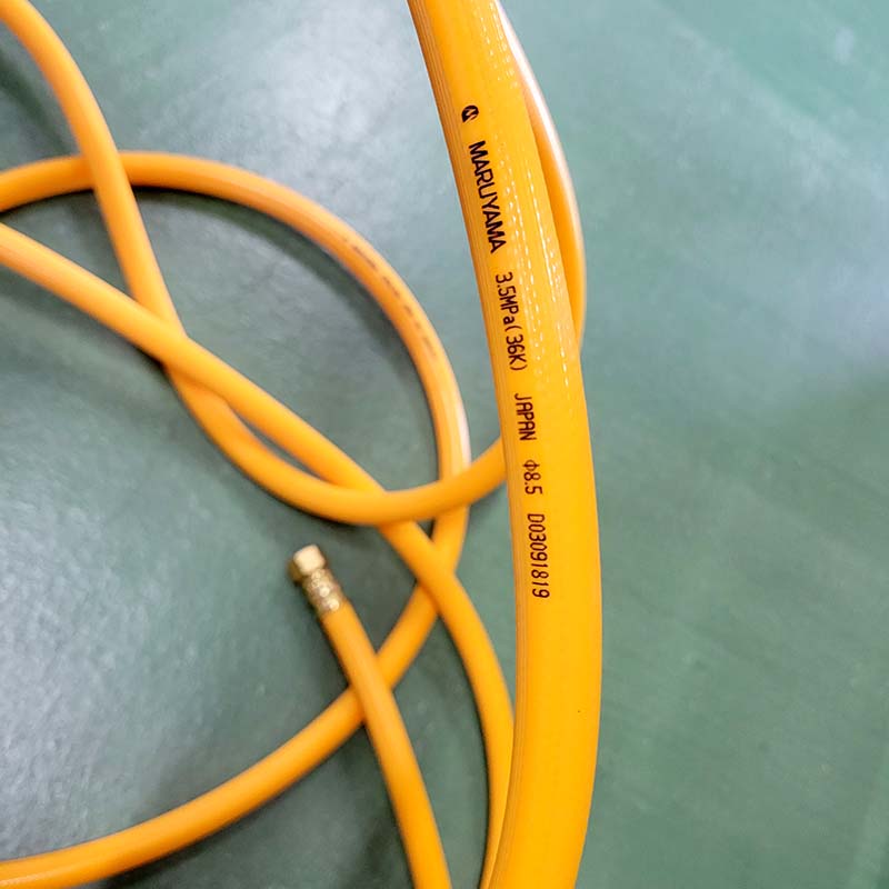 ��3/31�ޤǥ���ȥ꡼�Ǻ���100%P�Хå��ۥ��եȥ���䡼 [ɸ��+���ȥ���]���å� ���ڻ��� �ӥˡ���ϥ��� ���� ��PO �� ���դ� �����֥饷 ���Ĥ����� ���� ����Բ�