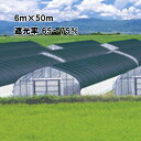 6m×50m 黒 遮光率65〜75% ワイドスクリーン 遮光ネット BK1010 寒冷紗 日本ワイドクロス タS 代引不可