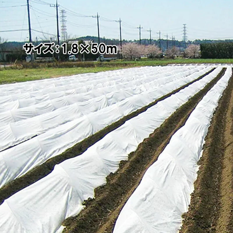 不織布+クロスで通常の不織布よりも強度があります。 引張に強いため支柱を使用した展張が可能です。 杭を使用し固定しても破れにくい。 保温性に優れ、桐害を抑制できます。 軟弱野菜、果菜等のトンネル栽培・浮き掛け、ベタ掛け栽培。類似商品はこちら2.1×50m 強化不織布 不織布 + クロス15,959円1.3×50m 強化不織布 不織布 + クロス10,711円スカイテック E01040 幅300cm 長さ60,976円スカイテック E01040 幅230cm 長さ47,005円スカイテック E01040 幅200cm 長さ40,798円スカイテック E01040 幅150cm 長さ30,903円スカイテック E01040 幅100cm 長さ21,279円NEWアイホッカ #40 210cm×50m 18,934円不織布 おてがる菜園用不織布 白 1.8×5m27,814円新着商品はこちら2026/10/23じゃり石に強くて飛びにくいチップソー JR-22,889円2026/10/23じゃり石に強くて飛びにくいチップソー JR-22,889円2026/10/23石に強くて飛びにくいチップソー IT-255 5,434円再販商品はこちら2026/10/23ネルパック 1.2.3 30kg お米 米 コ1,779円2026/10/23100個 柿つるしたんざく 干し柿 作りに 柿2,234円2026/10/23ペレット種子 150粒 ハクサイ 無双 品番3580円2026/10/22 更新農業用 不織布