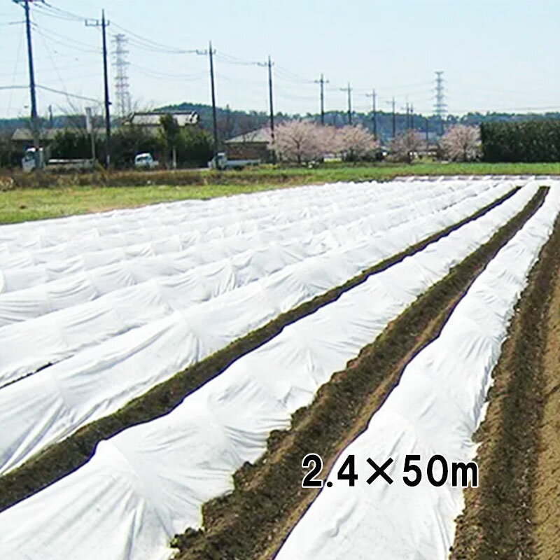 【3/31までエントリーで最大100%Pバック】2.4×50m 強化不織布 不織布 + クロス ひだまり 保温被覆資材 トンネル掛け ベタ掛け ダイヤテックス サT 北海道不可 代引不可