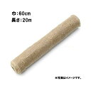 27巻 グリーンテープ 根巻 60cm×20m 早S 代引不可
