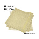 300枚 グリーンシート 四角 100 100cm×100cm 早S 代引不可