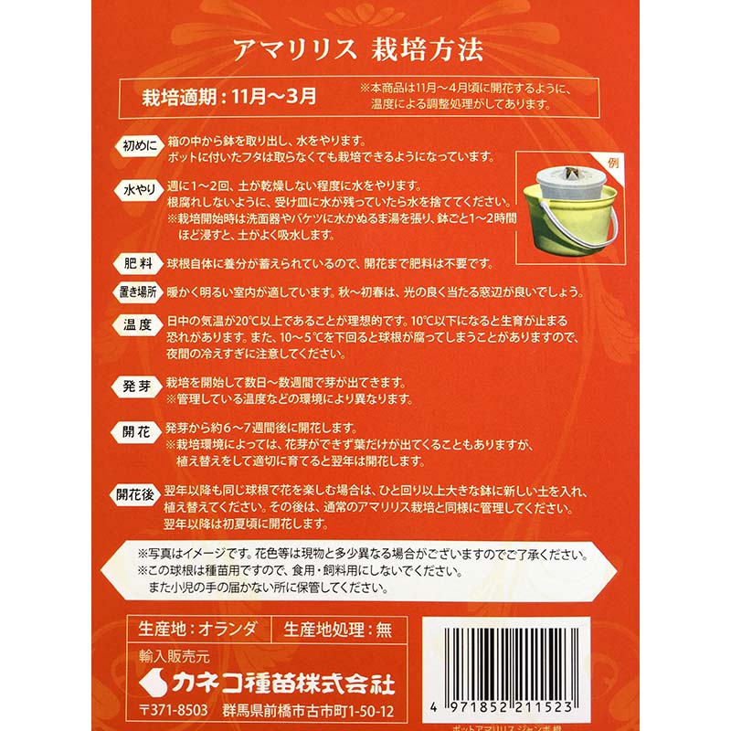 ��100%�ݥ���ȥХå� ����ȥ꡼������2/25�ޤǡۥݥåȥ��ޥ�ꥹ ������֥뷿 �ݥåȥ�����14cm (�֡��򡦥ԥ󥯡�����󥸡���������) ���ݥ��å� �庬 �� ���ͥ����� ʡS DZ