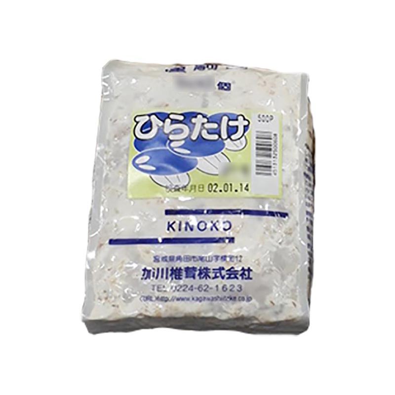 500個入 種駒 ひらたけ KM中生 丸棒型 人工しめじ 食用きのこ菌 キノコ ひらたけ菌 ヒラタケ 加川椎茸 米S 代引不可 返品不可