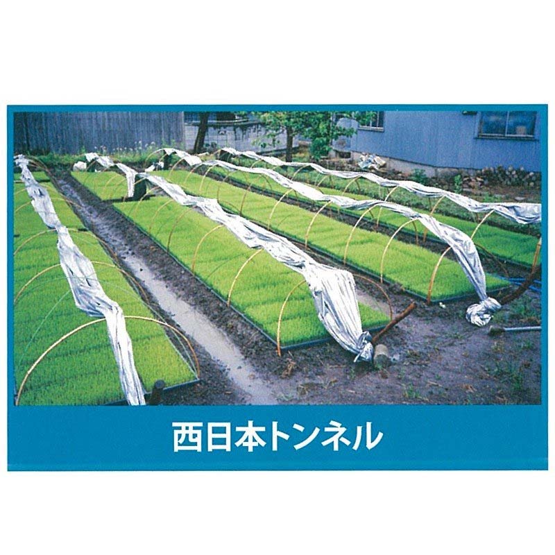 ��3/31�ޤǥ���ȥ꡼�Ǻ���100%P�Хå���2�� ����С��ݥ�ȥ� ��� �� ��80 0.05mm��270cm��50m ���� �� �ȡ����� ��S �Ŀ��������Բ� ����Բ�