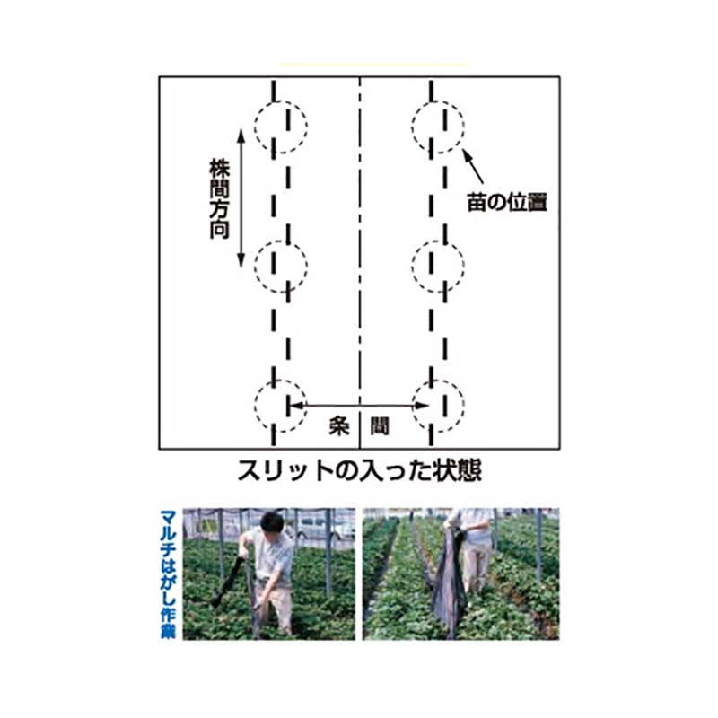 ハラックス マルチスリッター いちご用マルチ穴明け機 NH-1800W 条間幅広対応タイプ マルチ幅180cm以下用 防J 個人宅配送不可 代引不可 2