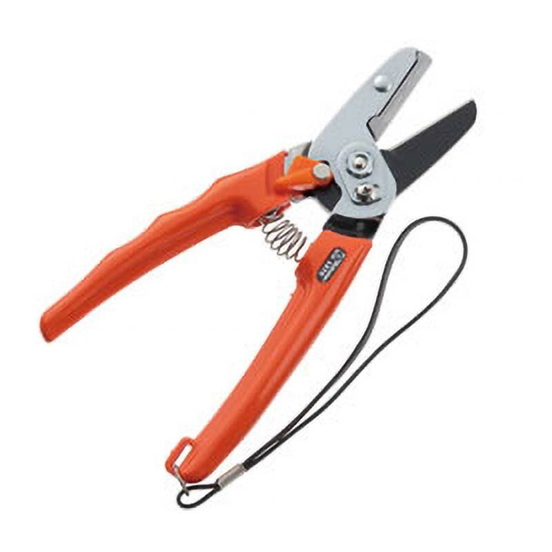 ��3/31�ޤǥ���ȥ꡼�Ǻ���100%P�Хå��ۥ���ӥ뷿 ������ No.1270 ���� �� �Ϥ��� �ϥ��� ����ӥ� ��� �����ǥ˥� ���ܥƥ� ��SD