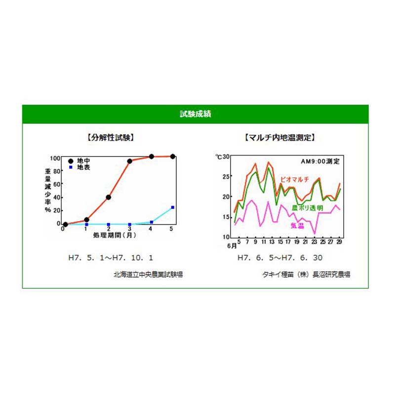 ��100%�ݥ���ȥХå� ����ȥ꡼������2/25�ޤǡۺڱ��� �ӥ��ȥå� �� 10���� ��ʬ�����ե���� ̵���� 0.018mm��135cm��50m �ޥ�� �ڱ� �ե���� ��S �Ŀ��������Բ� ����Բ�