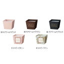 10個 デザインBOX ポット2.5号 162-1280 フラワーアレンジ 花器 ラッピング プレゼント ギフト カバー 松K 代引不可
