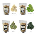 レインディアモス 袋入 約100g 165-9 苔 コケ プリザーブド ドライ フラワーアレンジメント 花材 松K 代引不可