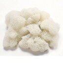フィンランドモス 白 約65g 76-61151-11 苔 コケ プリザーブド フラワーアレンジメント 花材 松K 代引不可