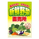 直売所用 看板 新鮮野菜直売所 300×450mm No.K-100 直売看板 直売所 高芝ギムネ 三冨D