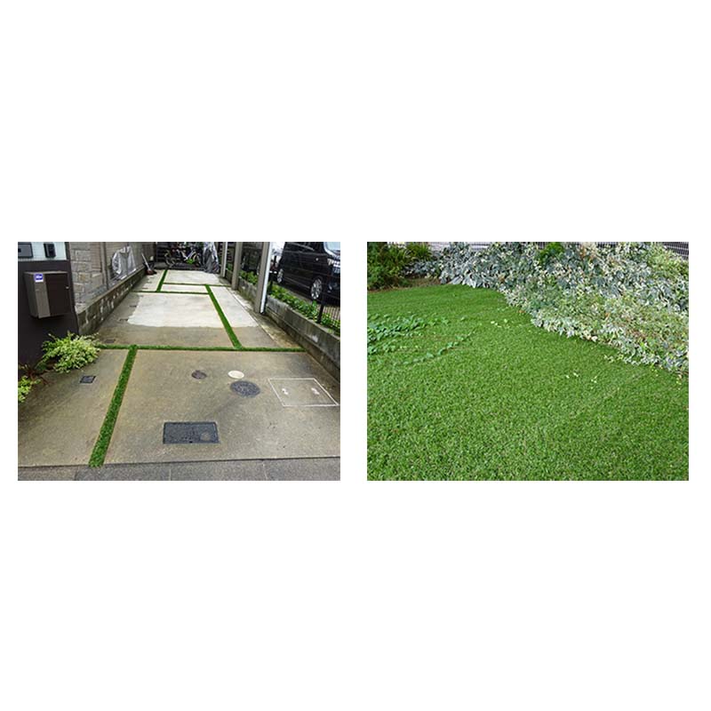 ��3/31�ޤǥ���ȥ꡼�Ǻ���100%P�Хå��ۥХ���͹��� 400PE 182cm��15m �ѥ���40mm �͹��� ������ �������� �Ŀ��������Բ� ����Բ�