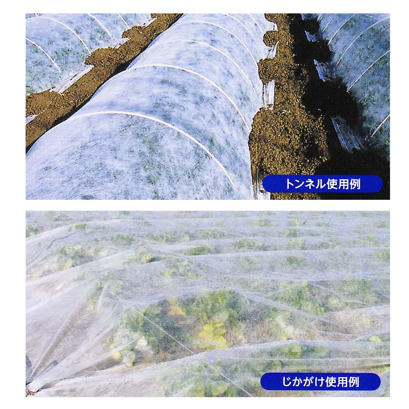 【4/30までエントリーで最大100%Pバック】農業用 不織布 青パオパオ 150cm×200m 農業用ベタがけ資材 育苗 MKVアドバンス カ施 個人宅配送不可 代引不可 2