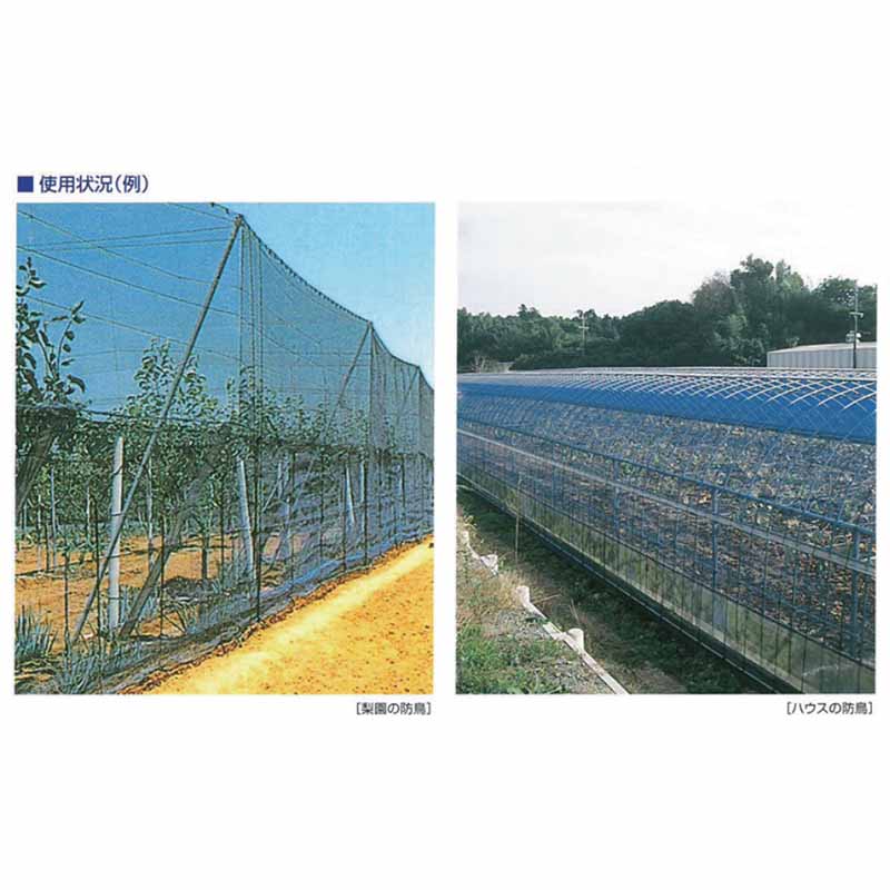 【3/31までエントリーで最大100%Pバック】強力防鳥網 150坪 18×27m 網目30mm 2500D...