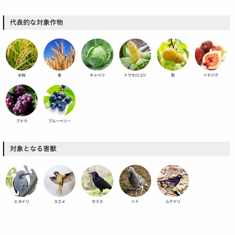 【3/31までエントリーで最大100%Pバック】強力防鳥網 150坪 18×27m 網目30mm 2500D...