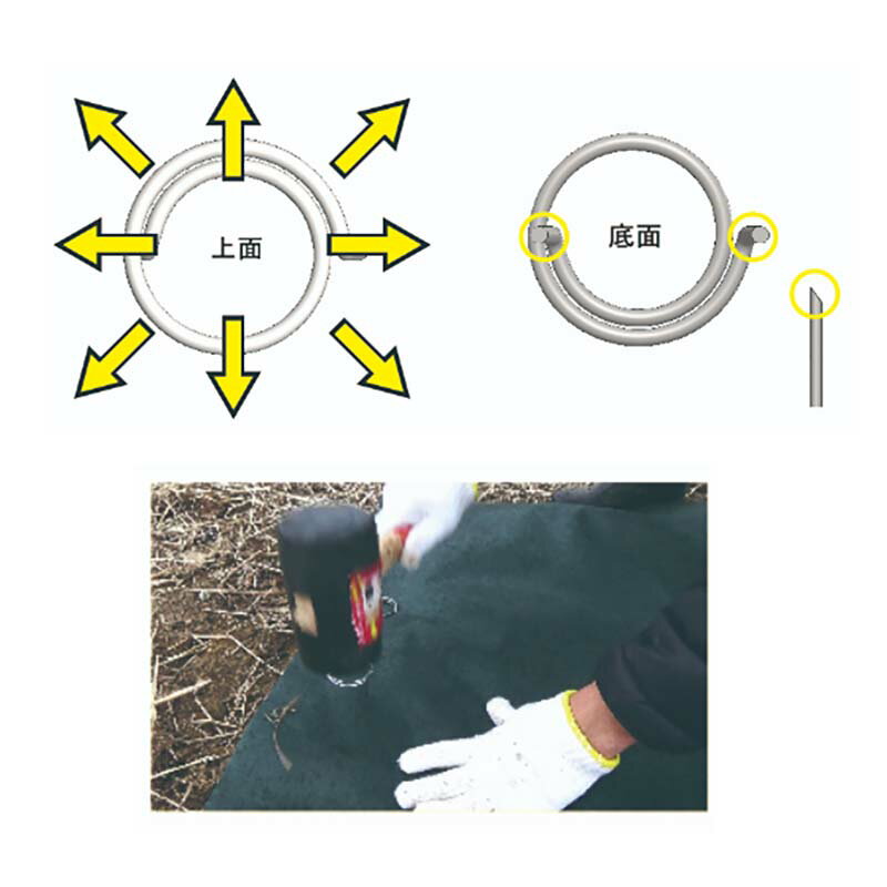 ��100%�ݥ���ȥХå� ����ȥ꡼������2/25�ޤǡۥե�åȹ� ľ��35��300mm 400������ 65050 ���𥷡��Ȥθ��� �� �����ڹ��� H