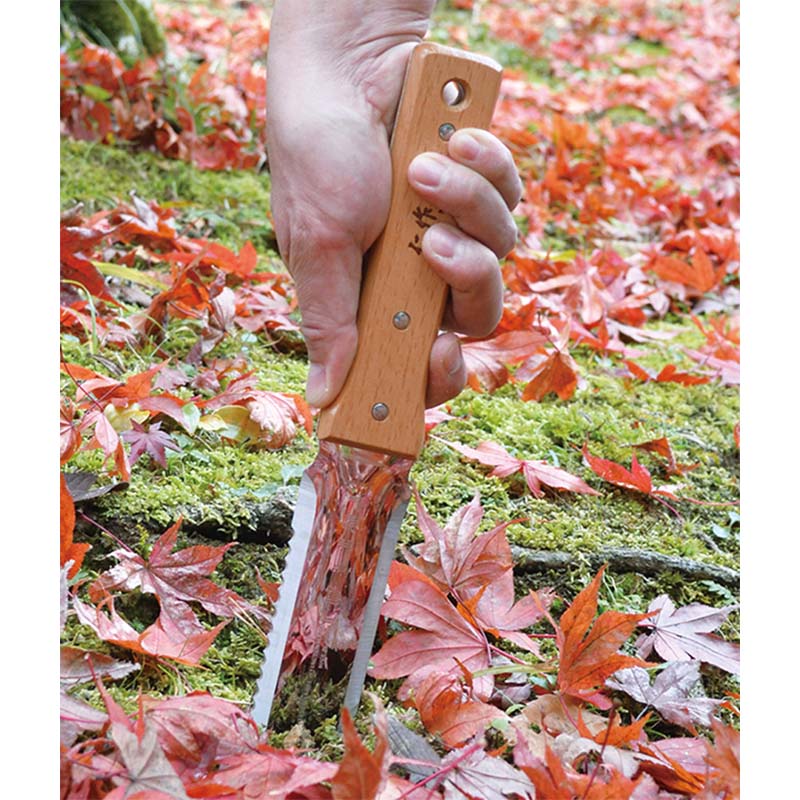 ��100%�ݥ���ȥХå� ����ȥ꡼������2/25�ޤǡۿκ� �쥸�㡼�ʥ��� (����ѥʥ���) �ե륿�� No.6550 ������Ĺ170+170mm ��YD