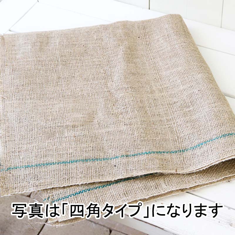 600枚 グリーンシート 三角 55 55cm × 55cm × 78cm 早S 代引不可 2