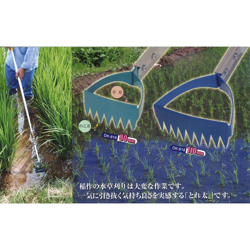 ��3/31�ޤǥ���ȥ꡼�Ǻ���100%P�Хå����ؿϤΤ� ���ķ��� ����Ȥ��� �ӥå� �ؿ� �϶�110mm DK-818K �ɥ����� ƻ�� ����DZ