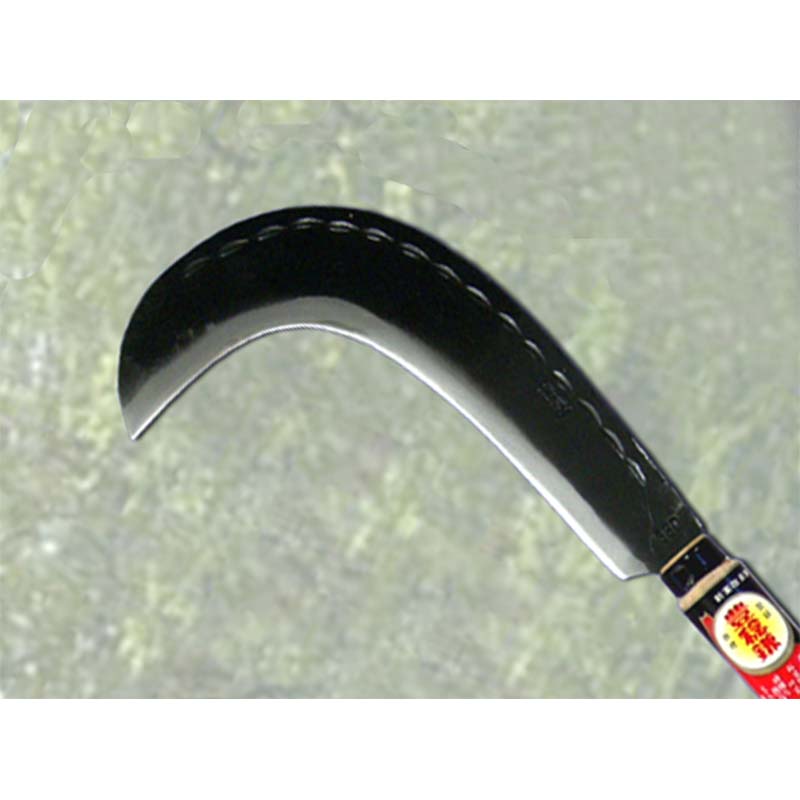 ��100%�ݥ���ȥХå� ����ȥ꡼������2/25�ޤǡ�ξ�� �з� ¤�ӳ� 100�� H-131 ������ ���� �� ˭̭ �ۥ��ͥ�ߥ�省 ����D