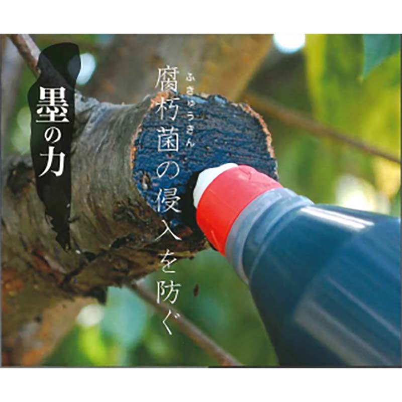 【6/1〜最大100%Pバック抽選で要エントリー】キニヌール 墨の力 150g 13209 樹木 ...