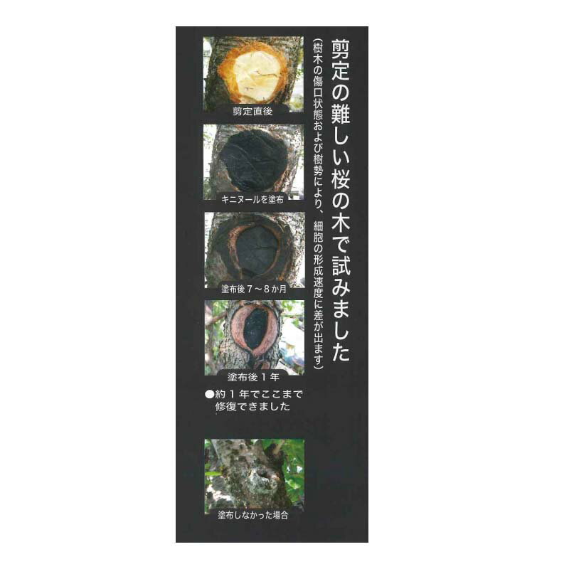 【6/1〜最大100%Pバック抽選で要エントリー】キニヌール 墨の力 150g 13209 樹木 ...