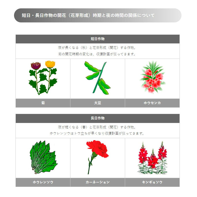 【8/1〜最大100%Pバック抽選で要エントリー】LED 防蛾灯 モスバリア ジュニア FOR ...