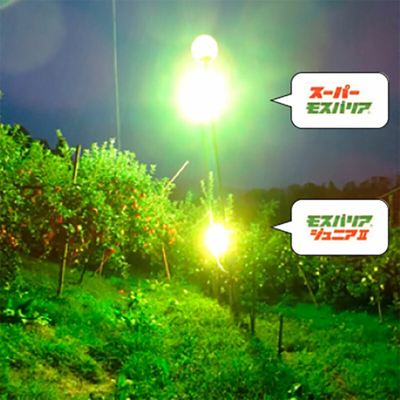 ��3/31�ޤǥ���ȥ꡼�Ǻ���100%P�Хå���LED �ɲ��� �⥹�Хꥢ2 �ߥå��� ������ ������ ���� ���� ���� ���� ȯ������������ LED�饤�� �̼� ��� ���к� ������ �����ӡ��� ZEROBEAM ����Բ�