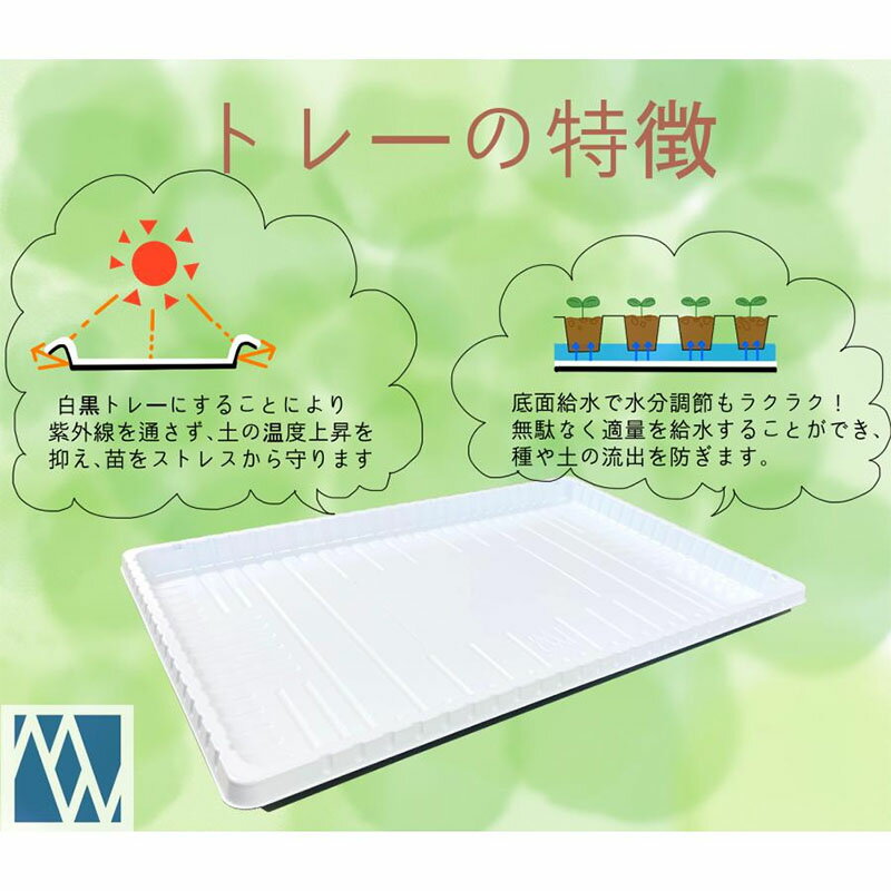 【4/30までエントリーで最大100%Pバック】育苗ベーストレー #2011 50枚 育苗 トレ...